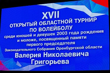 Волейбол закаляет, воспитывает силу духа